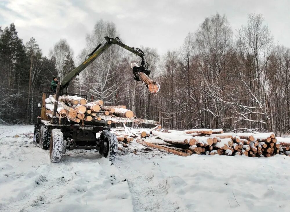 Что происходит в работино