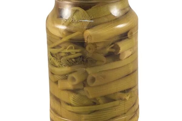 Шушан бохи. Шушан. Бутень шушан маринованный. Бутень армянский. Бутень армянский.