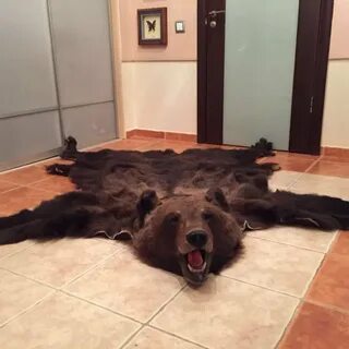 Продать шкуру медведя