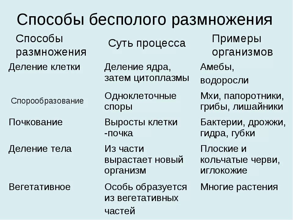 Каковы особенности бесполого размножения кратко. Таблица по биологии способы бесполого размножения. Виды бесполого размножения организмов кратко. Характеристика способов бесполого размножения. Типы бесполого размножения таблица.