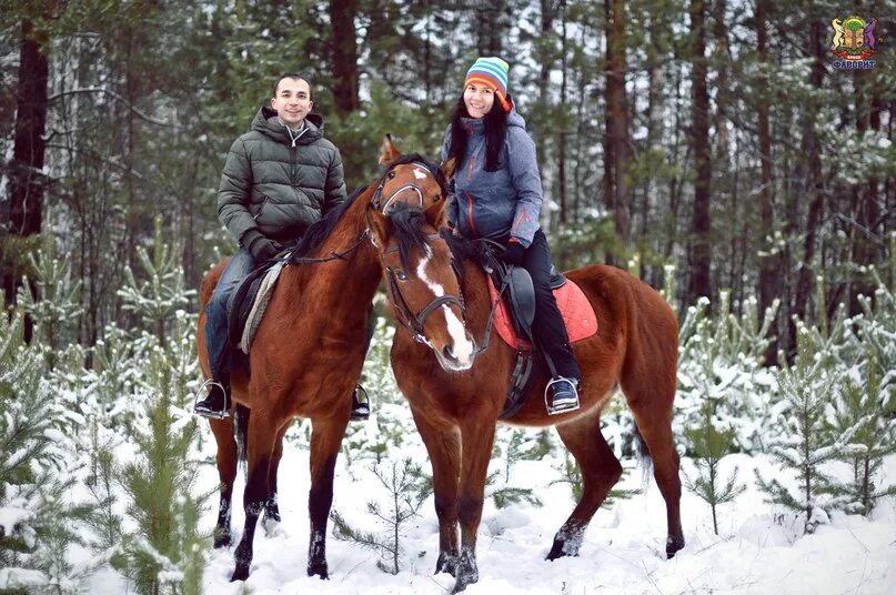 Конные прогулки новокузнецк. Конные прогулки марий эл красногорский. Конные прогулки екатеринбург. Конный клуб талисман тверь. Конные прогулки екатеринбург.