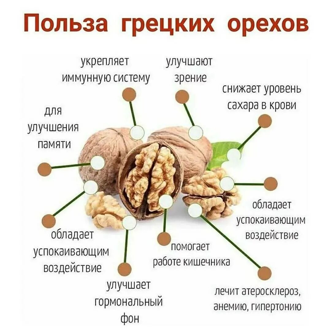 Чем полезен грецкий орех. Что полезного в грецких орехах. Что полезного в грецких орехах. Чем полезен грецкий для организма мужчины. Орехи для мужчин.