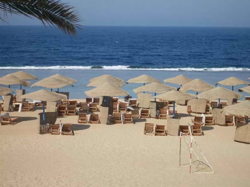 Египет раннее бронирование картинка. Альбатрос лагуна виста шарм-эль-шейх. Бич альбатрос резорт шарм-эль-шейх. Египет раннее бронирование. Египет раннее бронирование из минска.