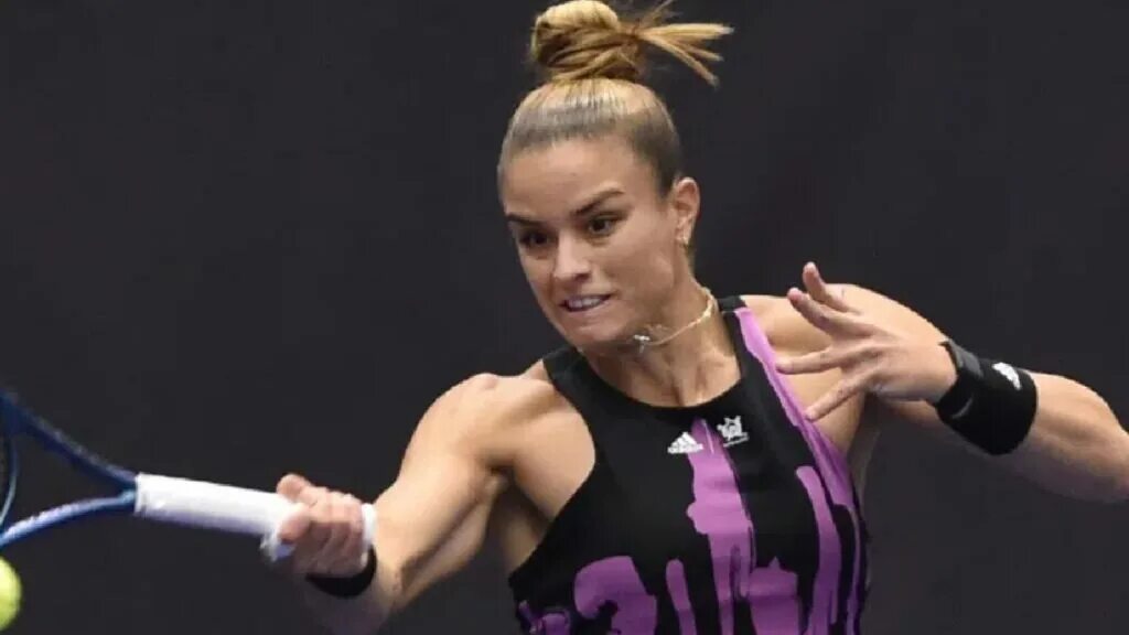 Wta san diego. Wta san diego