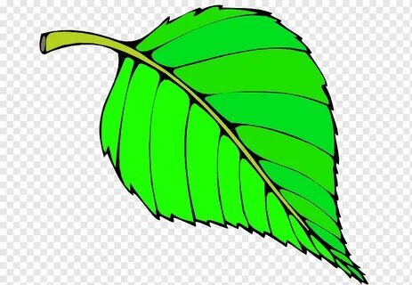 Менің досым үшін аяғымды жайыңыз