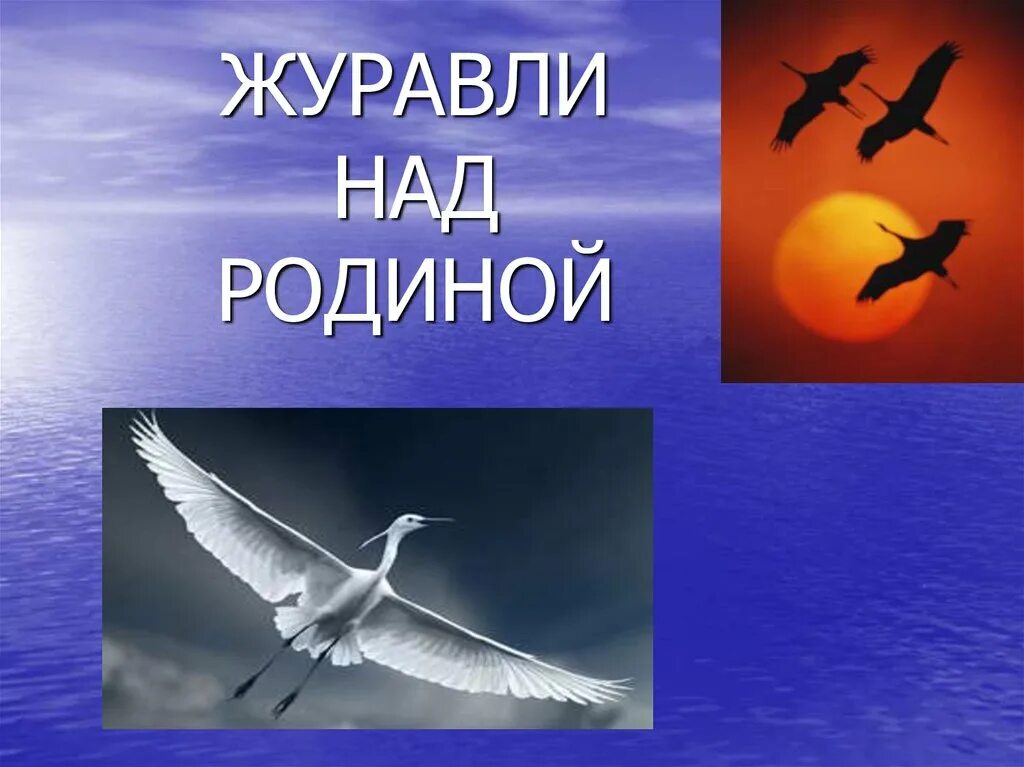 Песня неба над родиной. Журавли. Праздник белых журавлей. Журавли над Ильменем. Картинка белые Журавли памяти.