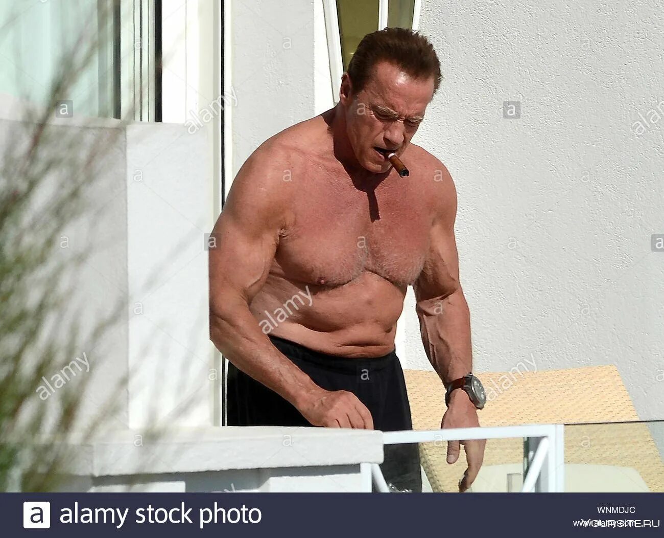 Шварценеггер быть нужным. Arnold Schwarzenegger сейчас тело. Шварценеггер сейчас 2022.
