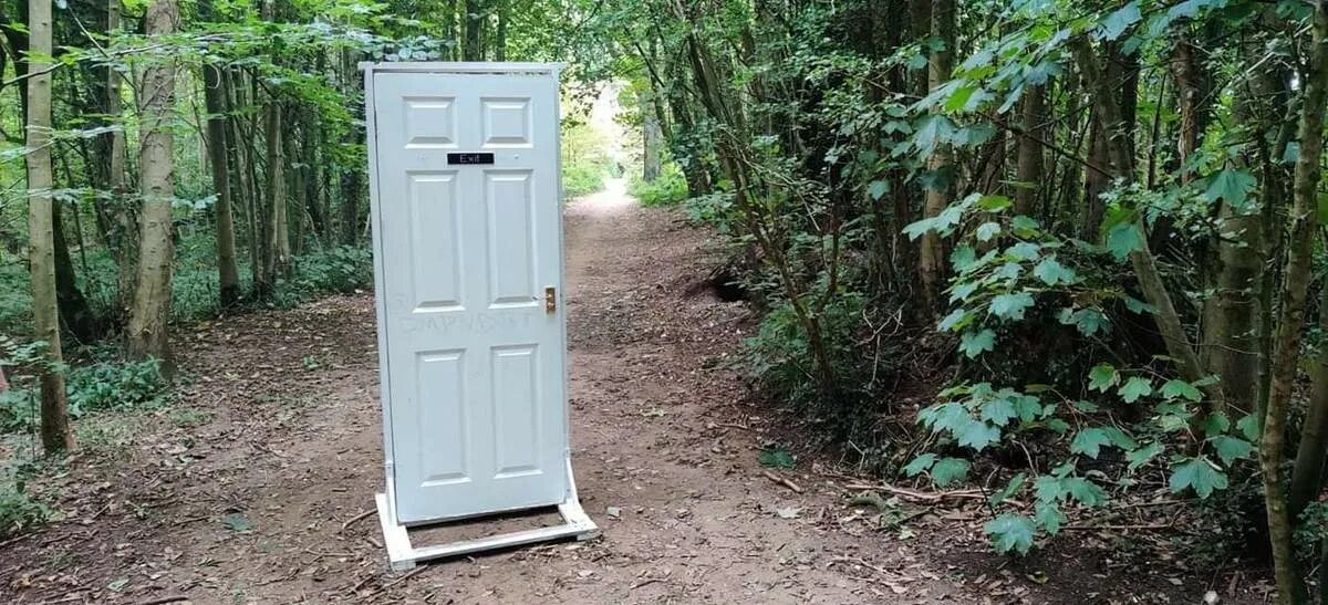 Дверь в лесу фото