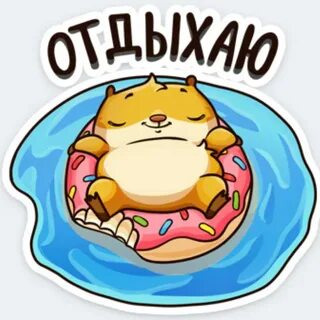 Любимый сеня