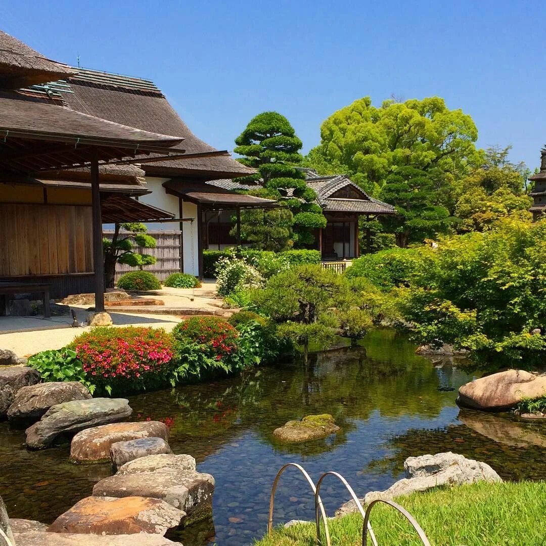 Японский пруд. Велна японский сад. Пруд в саду Япония. Японский сад с прудом. Велна ресторан японский сад.