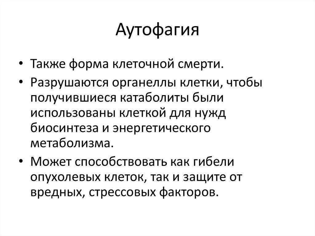 Аутофагия как правильно запустить. Аутофагия. схема аутофагии. аутофагия клетки. аутофагия механизм.