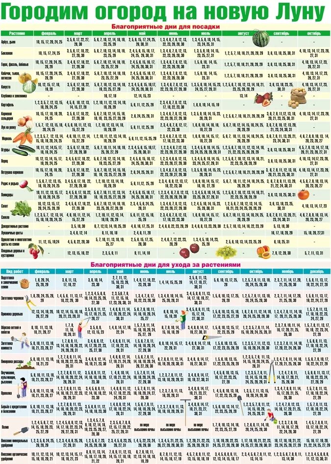 Календарь огородника. Лунный календарь садовода и огородника. Календарь посадки огорода. Благоприятные дни для посадки в огороде.