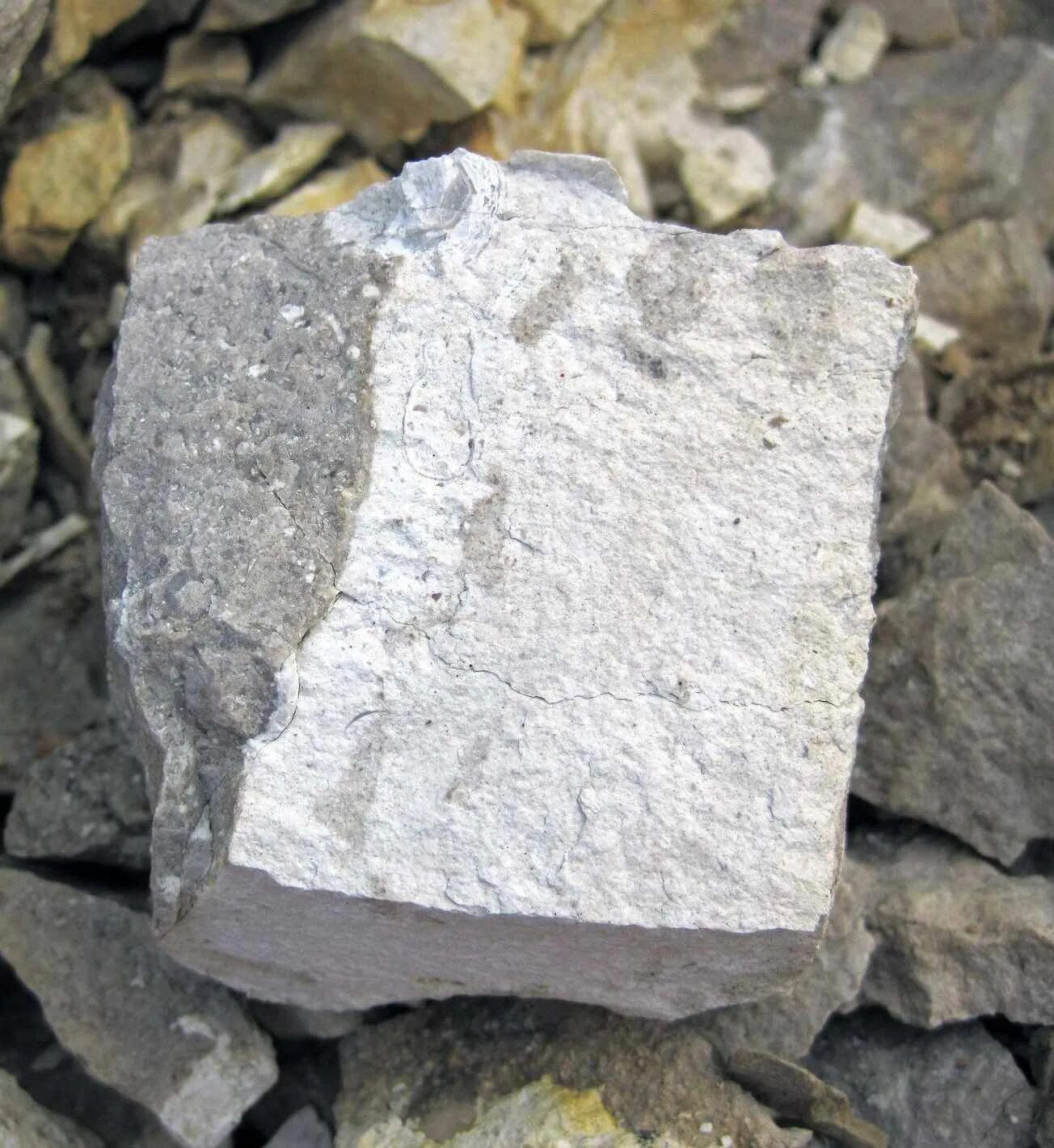 Талькомагнезит свойства. Валун «большой камень» кутишкинский. Плитняк серый галтованный. Особый камень. Природный камень белый габро.