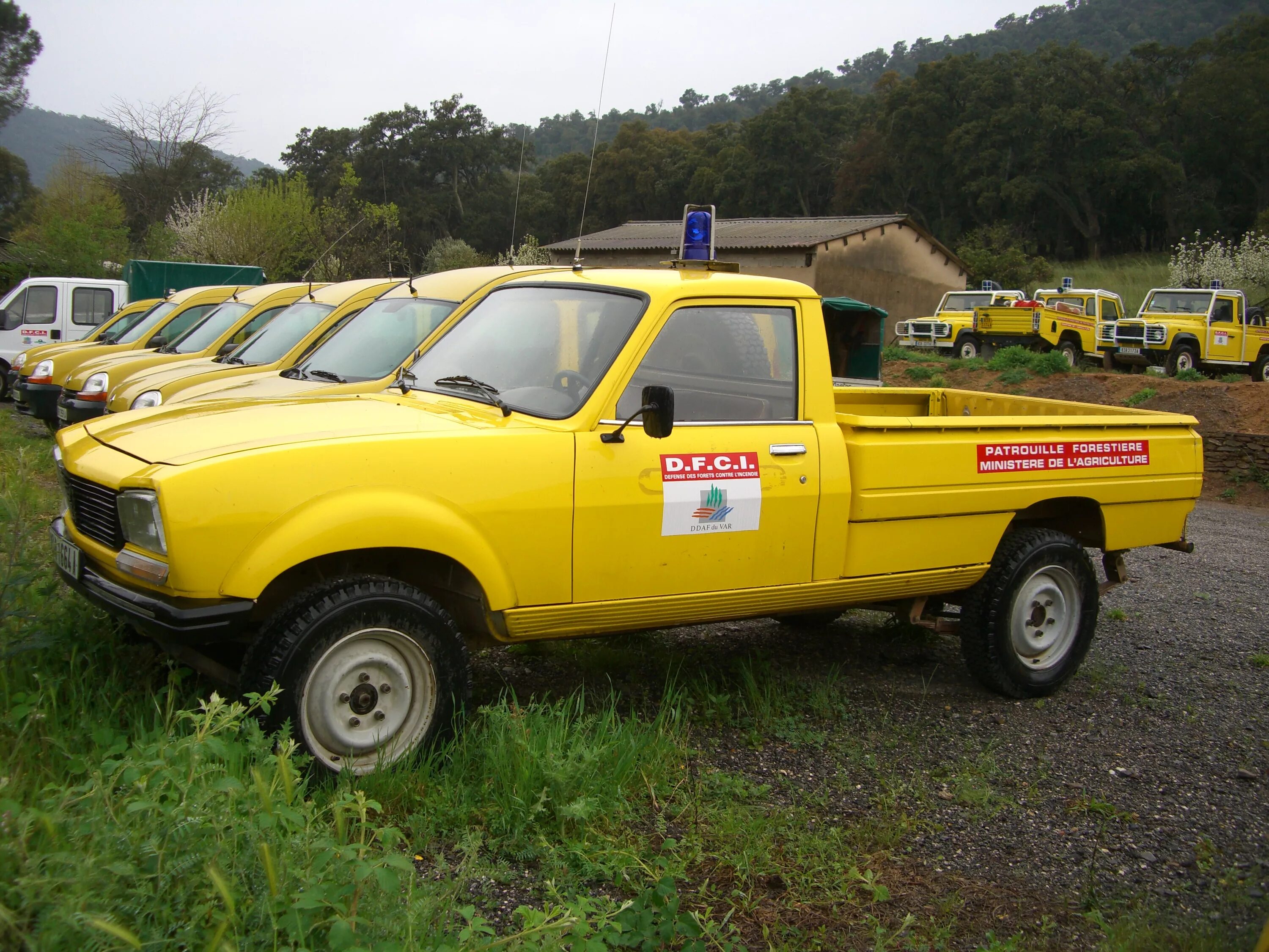 Пикап франция. Peugeot 504 Pickup 4 4. Peugeot 504 pick up 4x4. Peugeot 504 Pickup 4x4 Dangel. Peugeot 504 Pickup Group b.