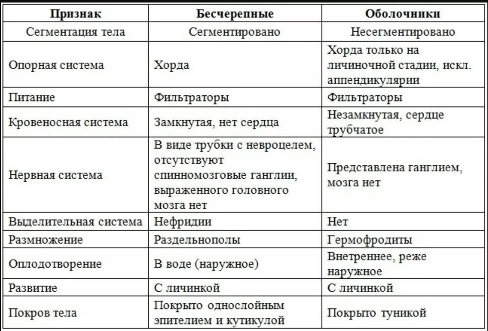 Рыба сходства и различия. Общая характеристика хордовых 7 класс биология таблица. Таблица по биологии 7 класс сравнительная характеристика хордовых. Общая характеристика хордовых животных 7 класс. Хордовые общая характеристика 7 класс таблица.