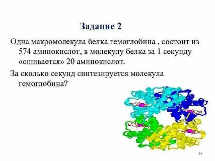 Назовите молекулу белка