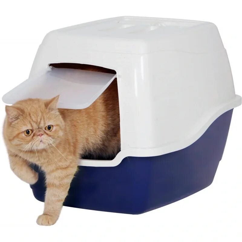 Туалет-домик для кошек petsafe SCOOPFREE Ultra 70.2х40.6х48.6 см. Лоток Cat-l19. Туалет-лоток для кошек 50 x 40 x 41 см. Cat-l28 Grey. Кошачий туалет catgenie. Какой лоток лучше для кошки