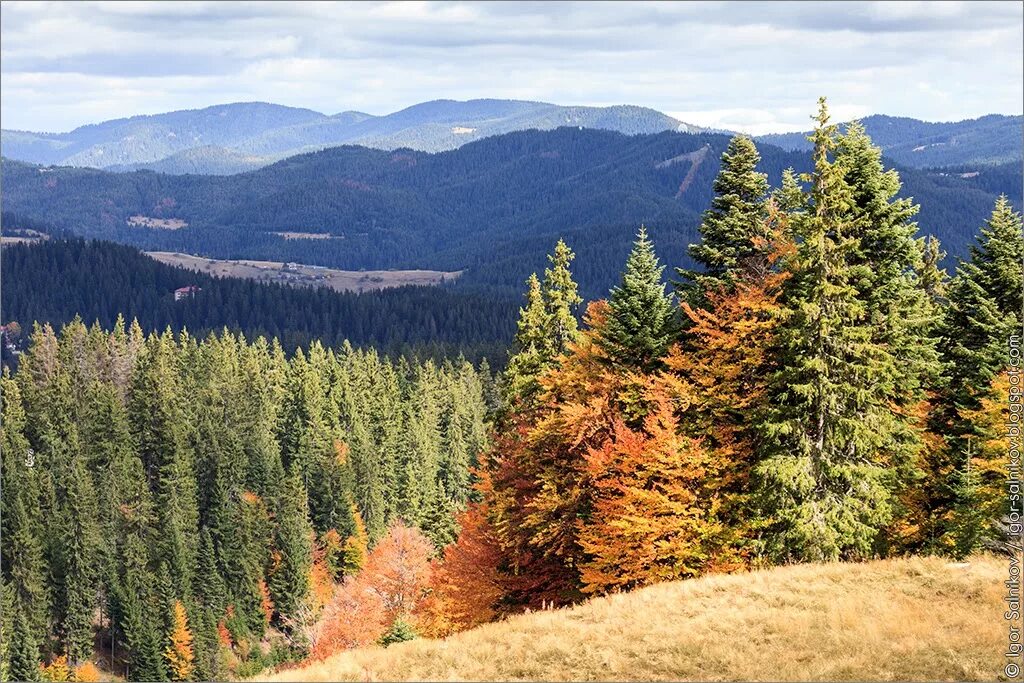 Родопы. Родопы (горы). Родопы Болгария. Фото гор Родопи Болгария. Bulgaria autumn.