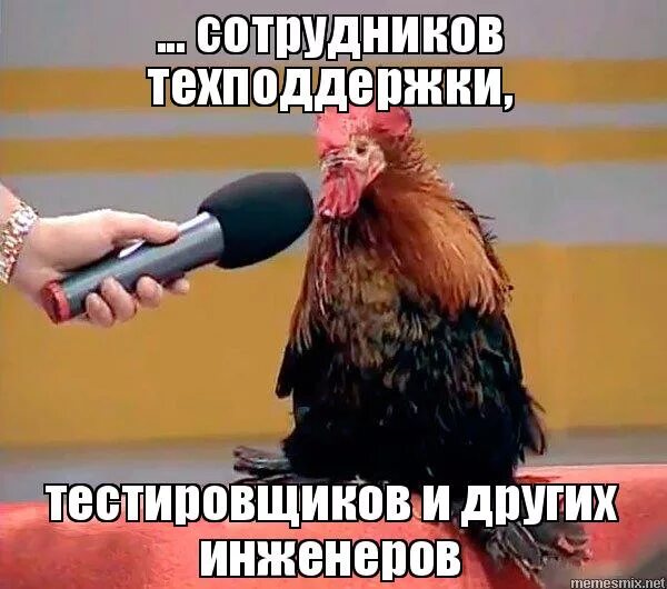 шутки про тестировщиков. мемы про тестировщиков.