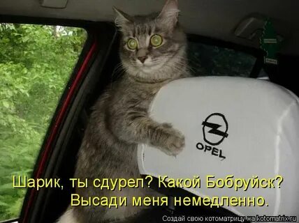 Тружусь в поте