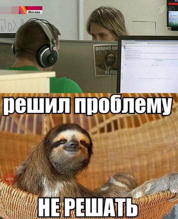 Решил повеселиться. Ленивец прикольный. Смешной Ленивец. Ленивец на работе. Ленивец прикол.