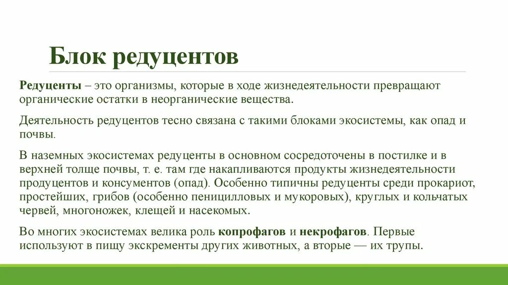 Функции редуцентов. Роль редуцентов. Роль вирусов в экосистемах. Продукты жизнедеятельности редуцентов. Важность редуцентов.