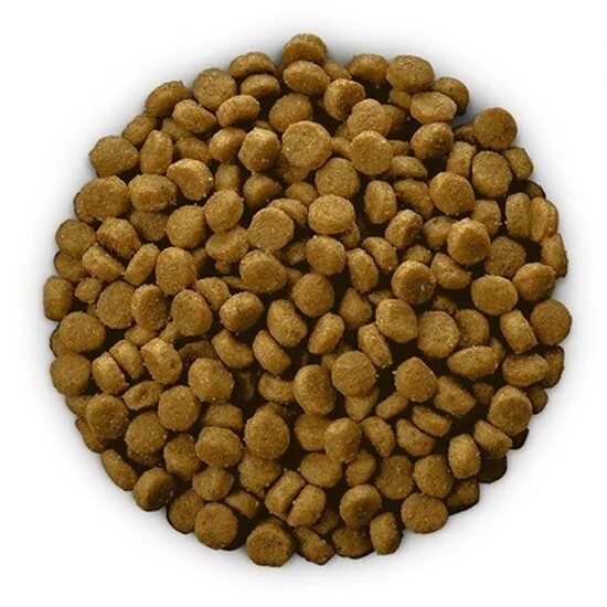 Pedigree (Педегри) Vital Protection для взрослых собак крупных пород с говядиной