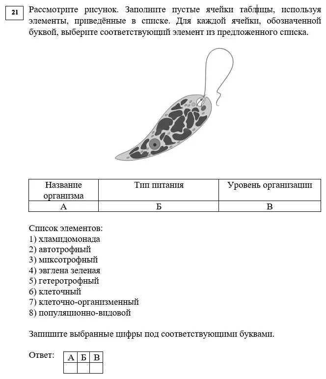 Типы задач по биологии егэ. Разделы биологии егэ. темы по общей биологии для егэ 2025. разбор 5 задания егэ по биологии 2025. темы для егэ по биологии 2025.