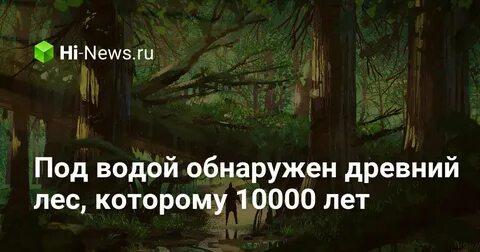 Нашли древний лес