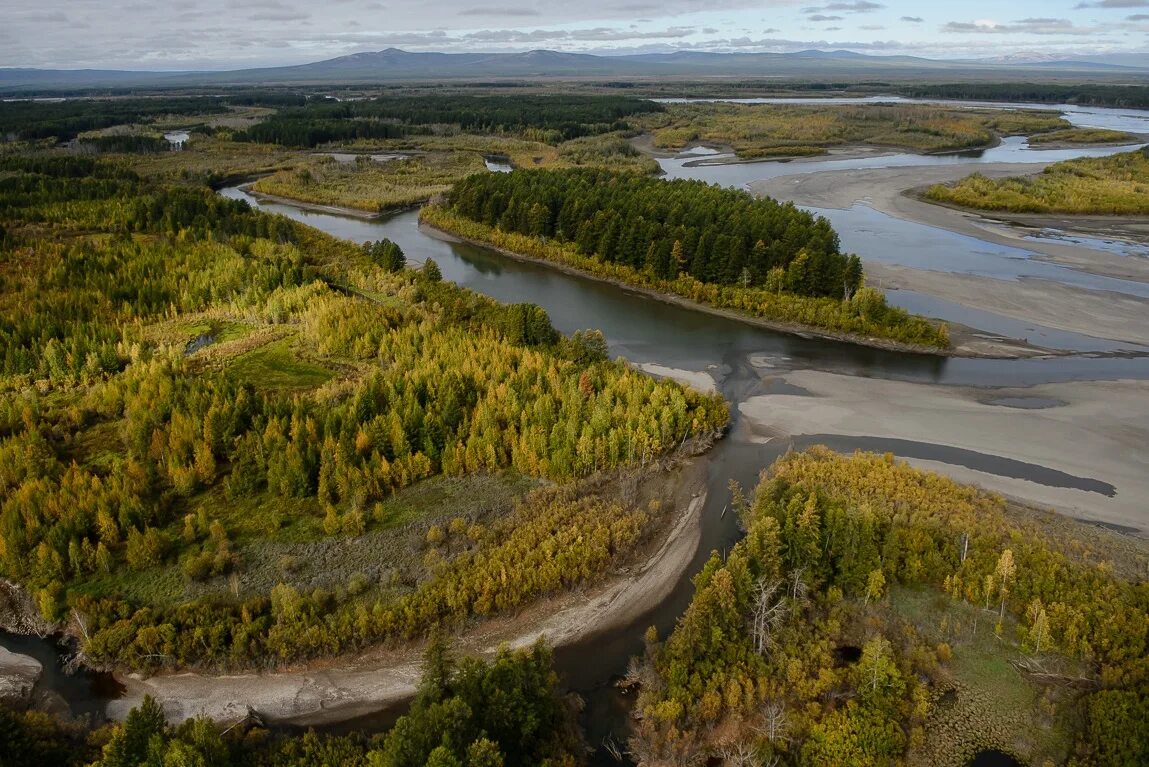 Самая большая река восточной сибири. Колыма (река) реки. Колыма. Устье Колымы. Долина реки Колымы.