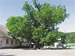 Почта ладушкин