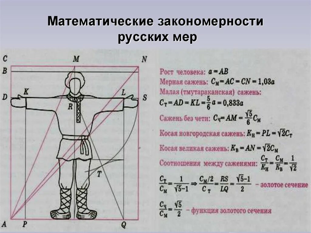 Мера человек 5. Формула золотое сечение пропорция. Формула золотой пропорции. Математические закономерности. Формула золотого сечения в математике.