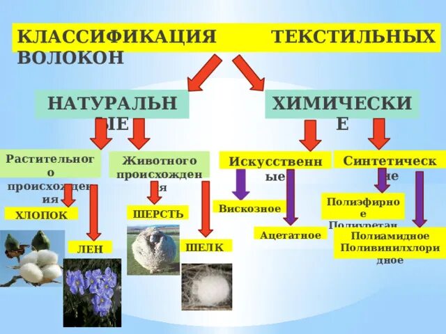 Классификация текстильных волокон. Текстильные волокна животного происхождения. Классификация текстильных материалов. Классификация текстильных волокон растительного происхождения.