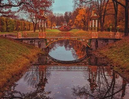 Одноклассники санкт петербург