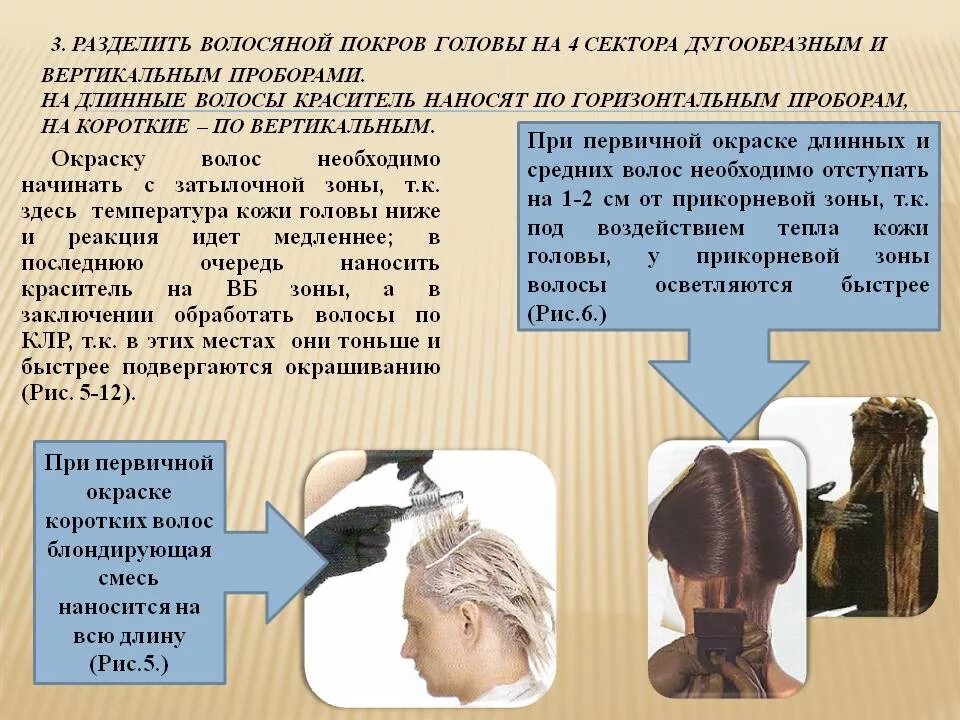 Деление головы на зоны при окрашивании. Окрашивание волос красителями 1. Схема выполнения окрашивания волос. Технология окрашивания волос красителями.