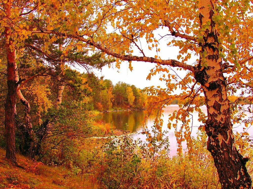 Родной край осенью. Осенний пейзаж Каменск Уральский. Лес Каменска Уральского осенью. Природа Урала Свердловск осень. Уральский пейзаж осень.