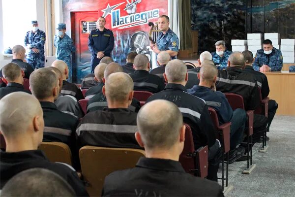 фку ик 3 рязанская область. мсэ белгород. главный семейный врач ульяновской области. фку ик-9 гуфсин россии по новосибирской области. ик 46 невьянск свердловская область.