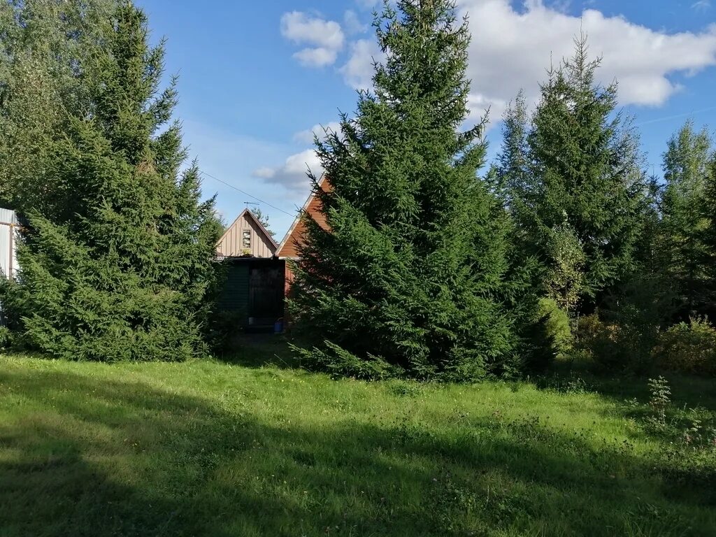 Снт полет. Снт холмы истринский район. Снт соната истринский район. Снт холмы. Снт холмы истринский район.