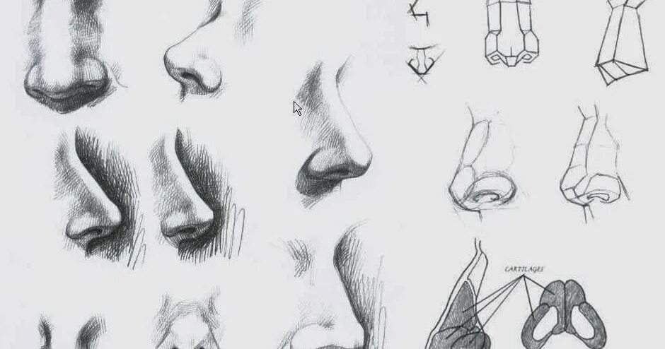 Нос эскиз. Рисование носа с разных ракурсов. Зарисовки носа. Нос набросок.