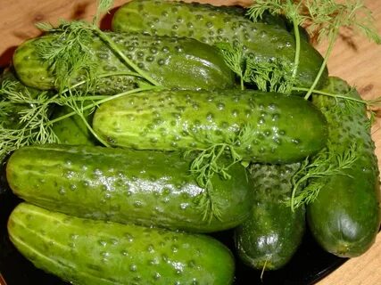 Свежепросольные огурцы рецепт быстрый