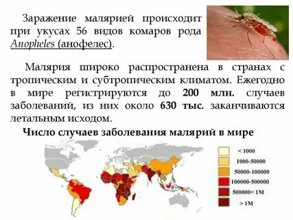 Заражение малярией
