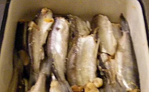 Ряпушка посолить быстро вкусно