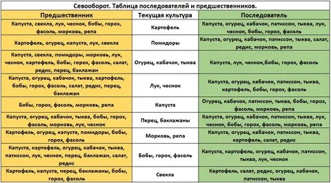 Севооборот схема чередования культур