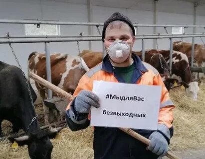 Кфх брянская область