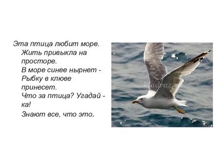 Жизнь прожить не море