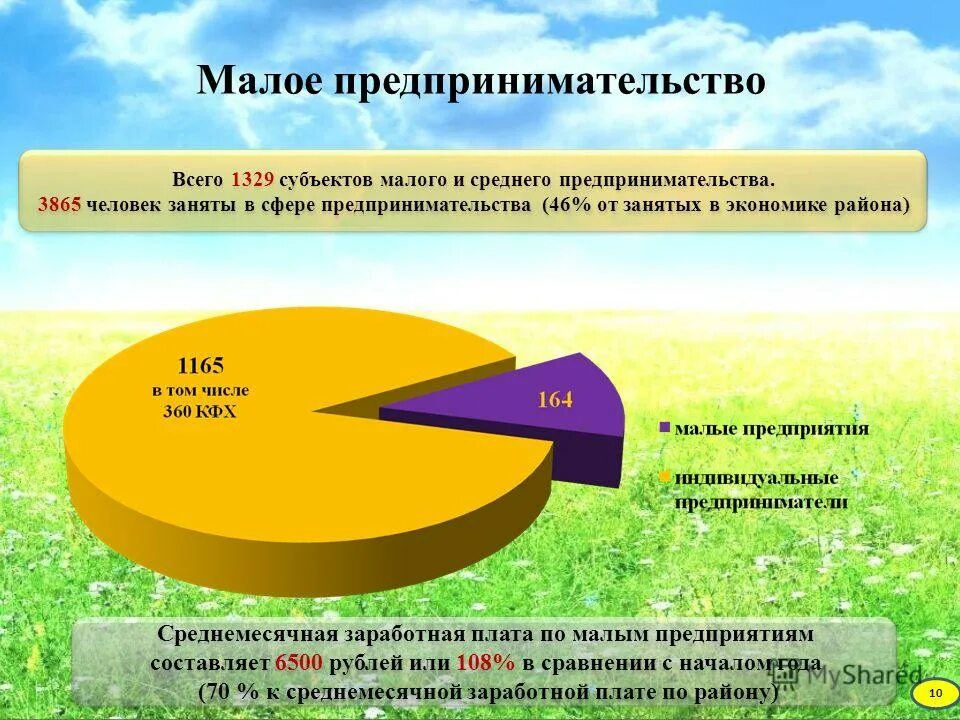 Структура работников. Развитие сферы услуг. Мсп россии. Динамика роста числа малых предприятий 2021. Перспективы развития мсп.