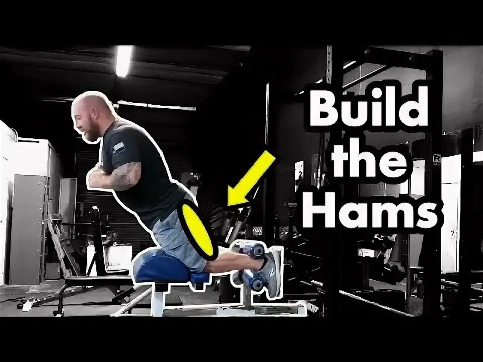 Curl dev. Nordic ham curl. nordic curl. nordic curls scheme.