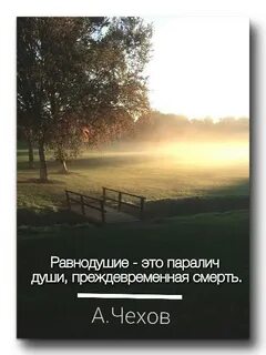 Равнодушие это паралич