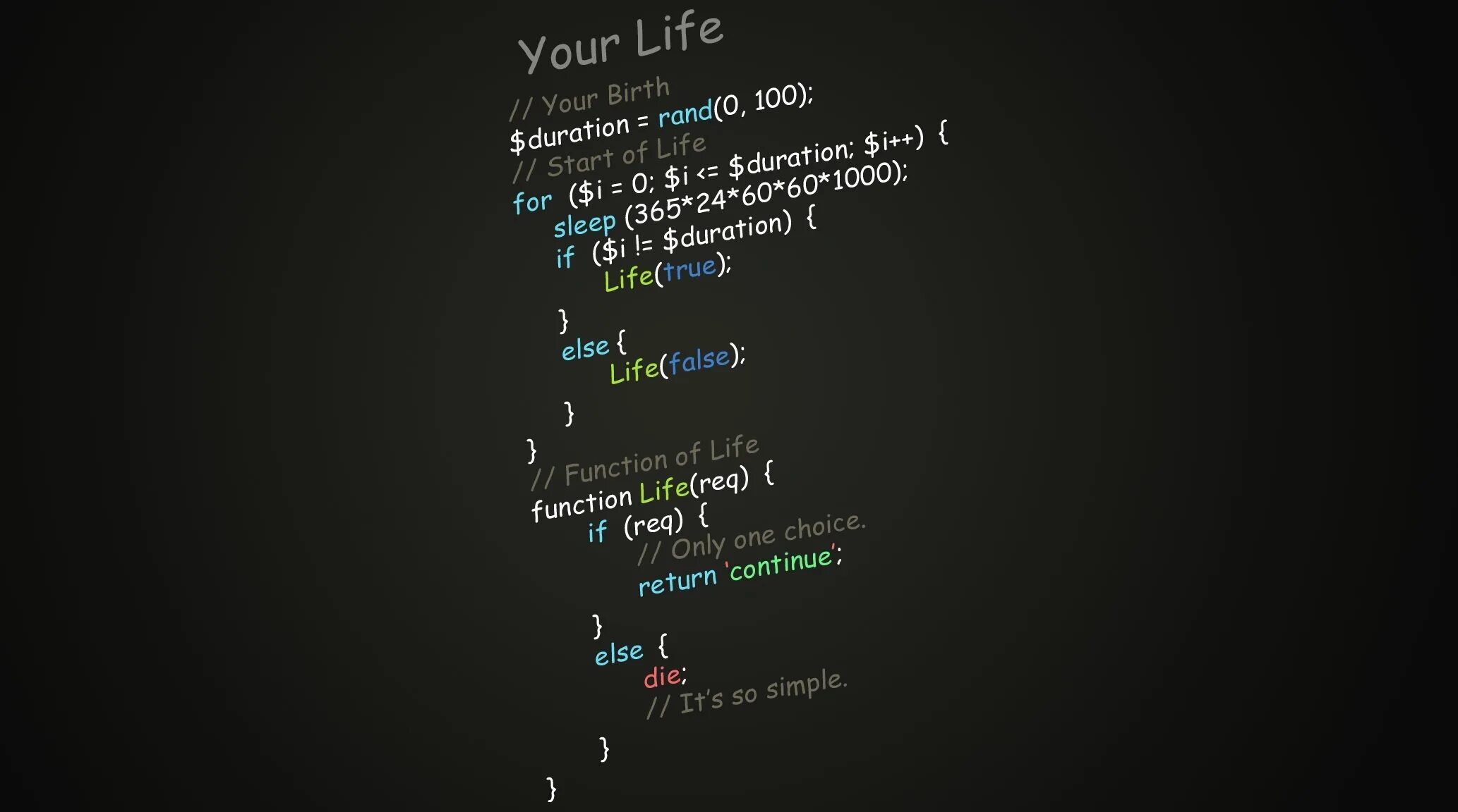 Films about programming