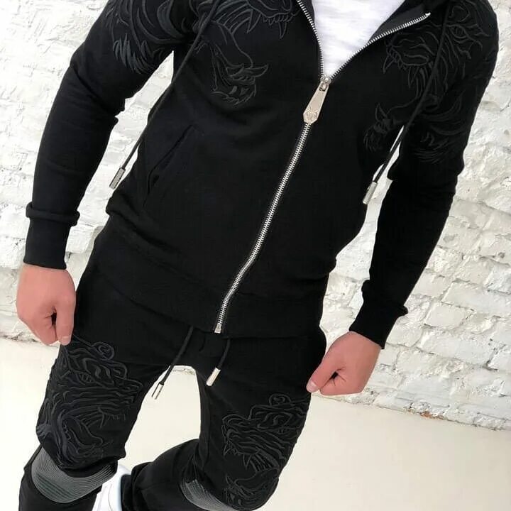 Спортивный костюм plein. Philipp plein спортивный костюм. Спортивный костюм Philipp plein Tiger мужской.